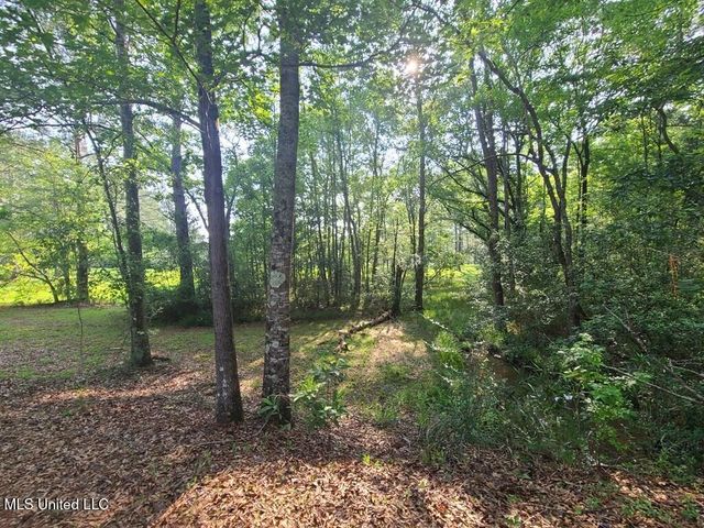 0 Thompson Lane, Carriere, MS 39426