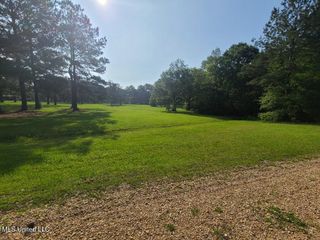 0 Thompson Lane, Carriere, MS 39426