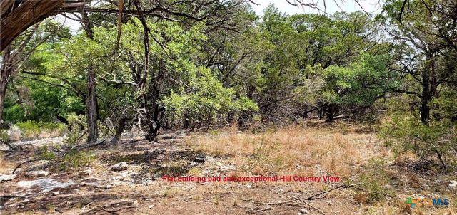 0000 N North Park Road, Canyon Lake, TX 78133