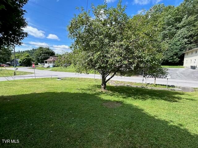 279 Legion Street, Weber City, VA 24290