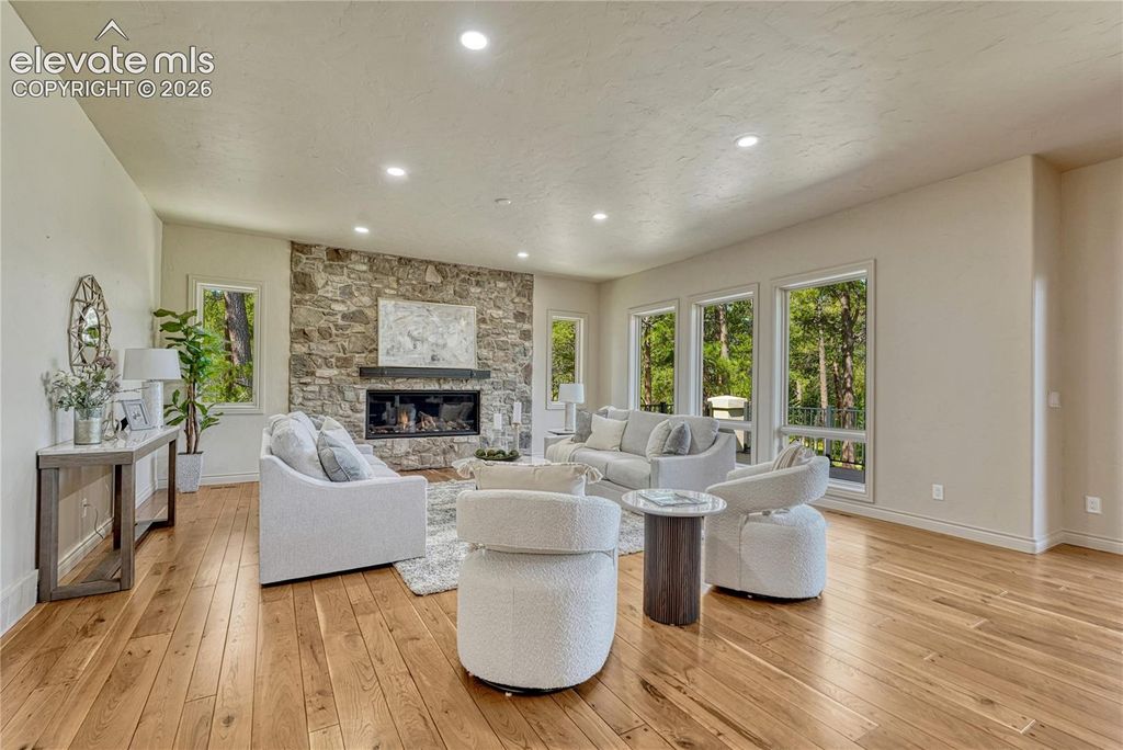 16152 Timber Meadow Drive, Colorado Springs, CO 80908 — photo 4