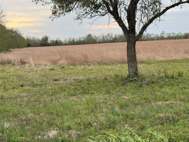 0 County Road 46, Danbury, TX 77534