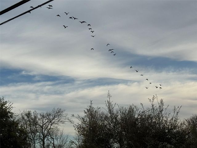 0 County Road 46, Danbury, TX 77534