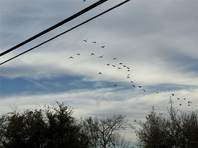 0 County Road 46, Danbury, TX 77534