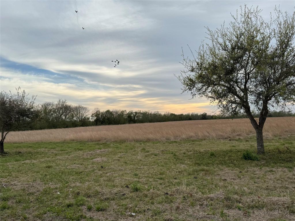 0 County Road 46, Danbury, TX 77534