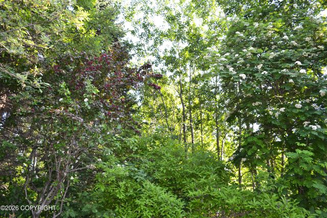 15100 Old Seward Highway, Anchorage, AK 99516