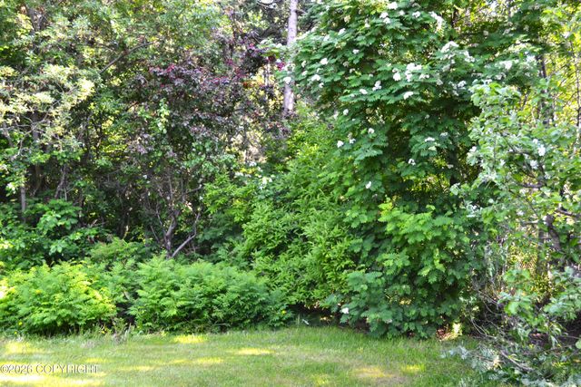 15100 Old Seward Highway, Anchorage, AK 99516