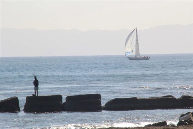 3409 S Pacific, San Pedro, CA 90731