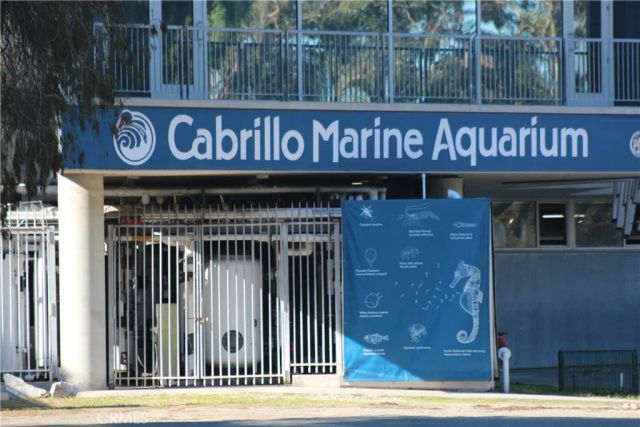 3409 S Pacific, San Pedro, CA 90731