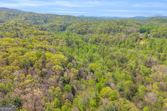 294 Brookwood Lane, Clarkesville, GA 30523