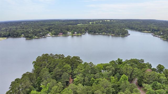 374 Tejas Trail, Grapeland, TX 75844
