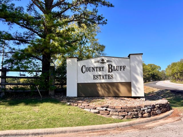 238 Country Bluff Drive, Branson, MO 65616