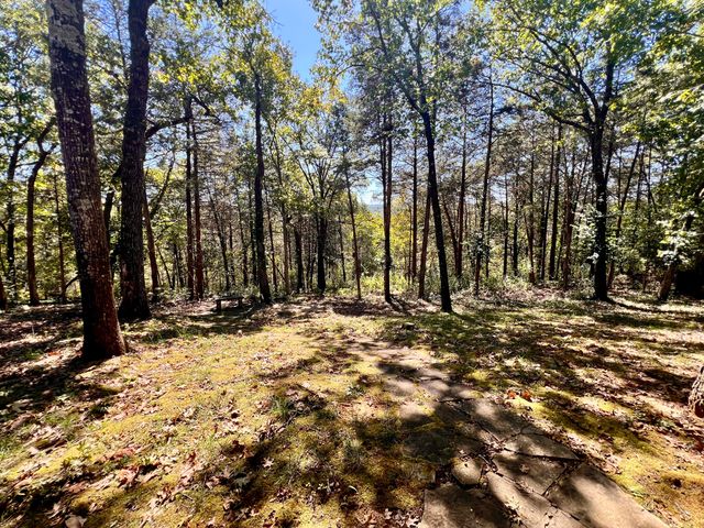 238 Country Bluff Drive, Branson, MO 65616