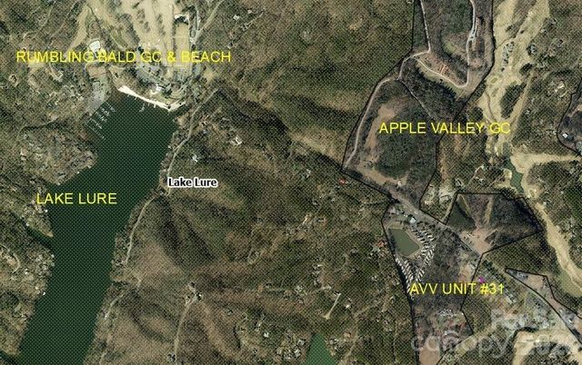 160 Whitney Boulevard 31, Lake Lure, NC 28746