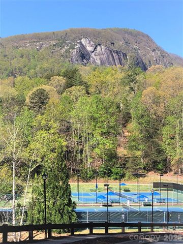 160 Whitney Boulevard 31, Lake Lure, NC 28746