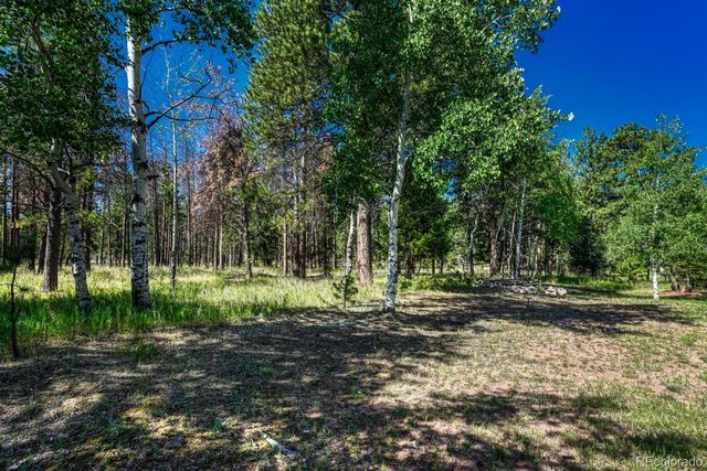 115 Hawkridge Drive, Woodland Park, CO 80863
