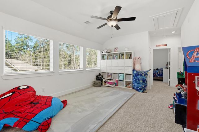 221 Mccrea Court, Montgomery, TX 77316