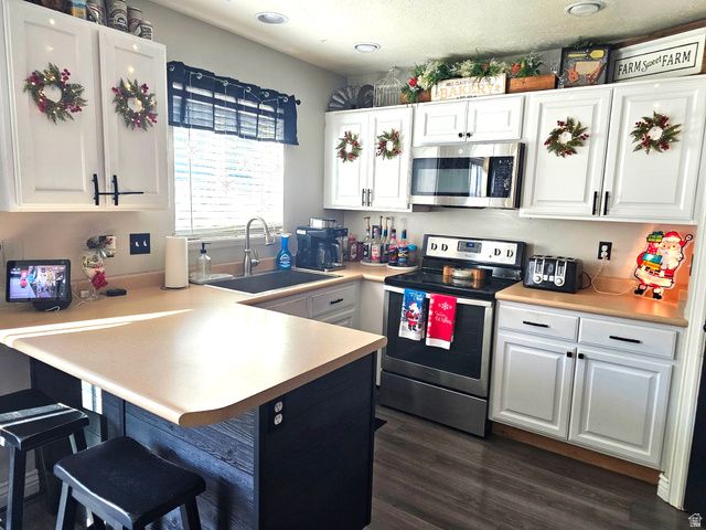 2007 N BELMONT DR, Saratoga Springs, UT 84045