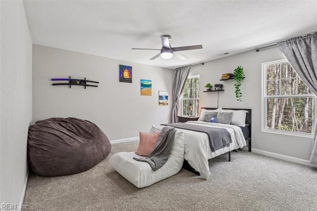 12547 Smiths Neck RD, Carrollton, VA 23314