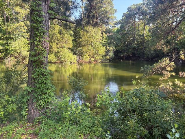 2014 Saphire Court, Mount Pleasant, SC 29466