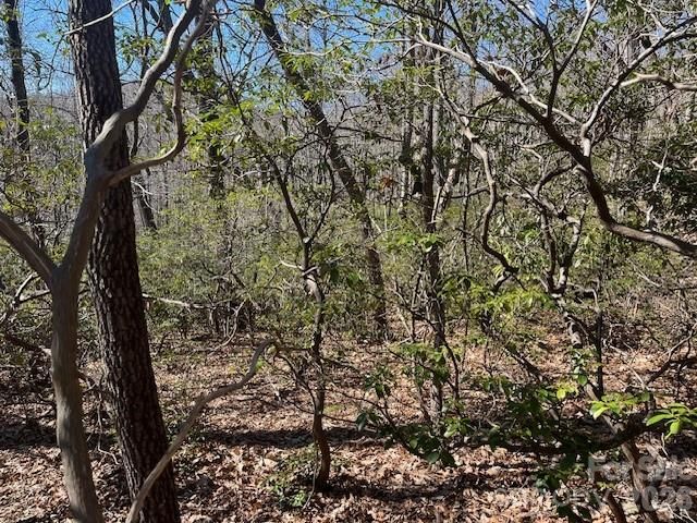 Lot 79 Arrowhead Trail, Columbus, NC 28722