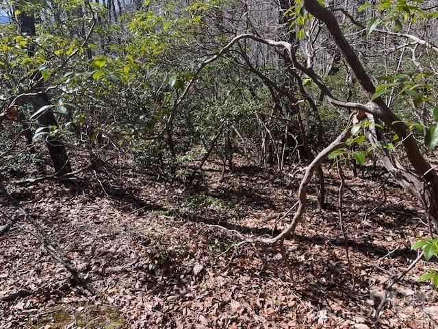 Lot 79 Arrowhead Trail, Columbus, NC 28722