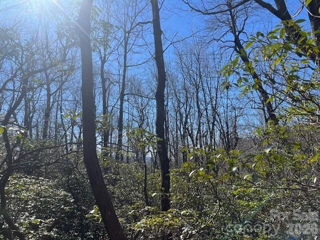 Lot 79 Arrowhead Trail, Columbus, NC 28722