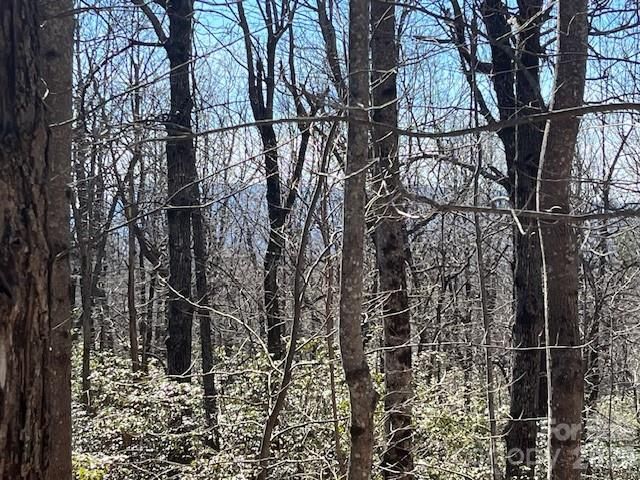 Lot 79 Arrowhead Trail, Columbus, NC 28722