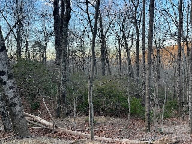 Lot 79 Arrowhead Trail, Columbus, NC 28722
