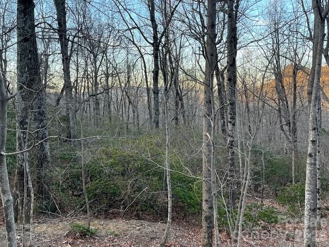 Lot 79 Arrowhead Trail, Columbus, NC 28722