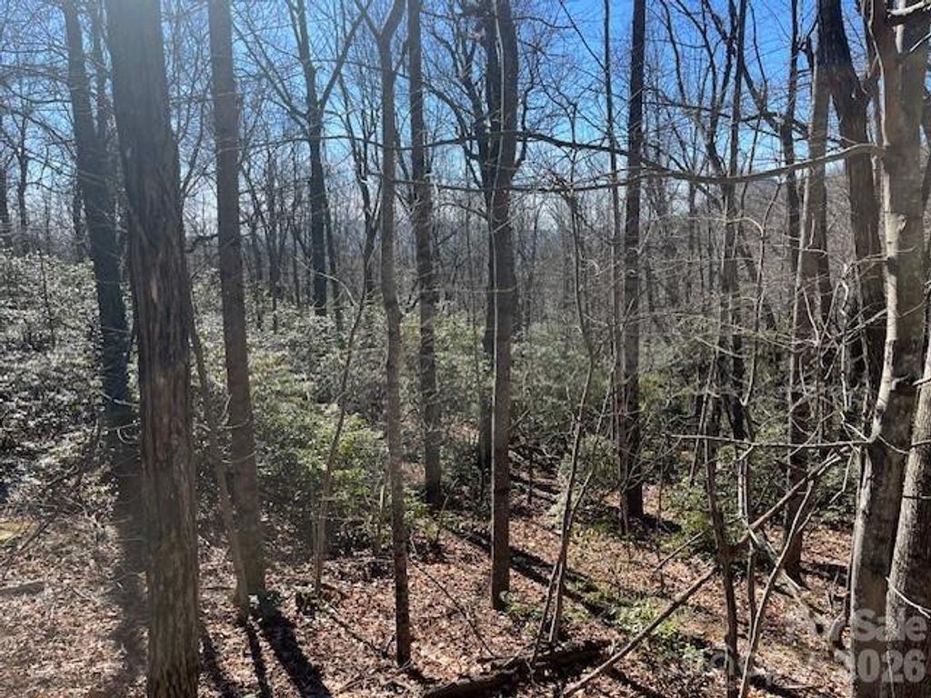 Lot 79 Arrowhead Trail, Columbus, NC 28722