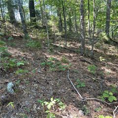 Railroad Cut Road, Rogers, AR 72756