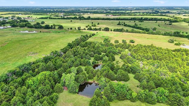 31.83 AC Fm 981, Blue Ridge, TX 75424