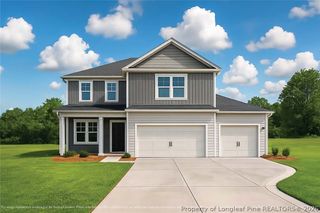 3993 Blue Springs (Lot 6) Road, Red Springs, NC 28377