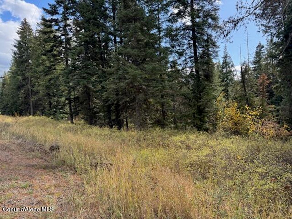 NKA Sanders Road, St. Maries, ID 83861 photo 2