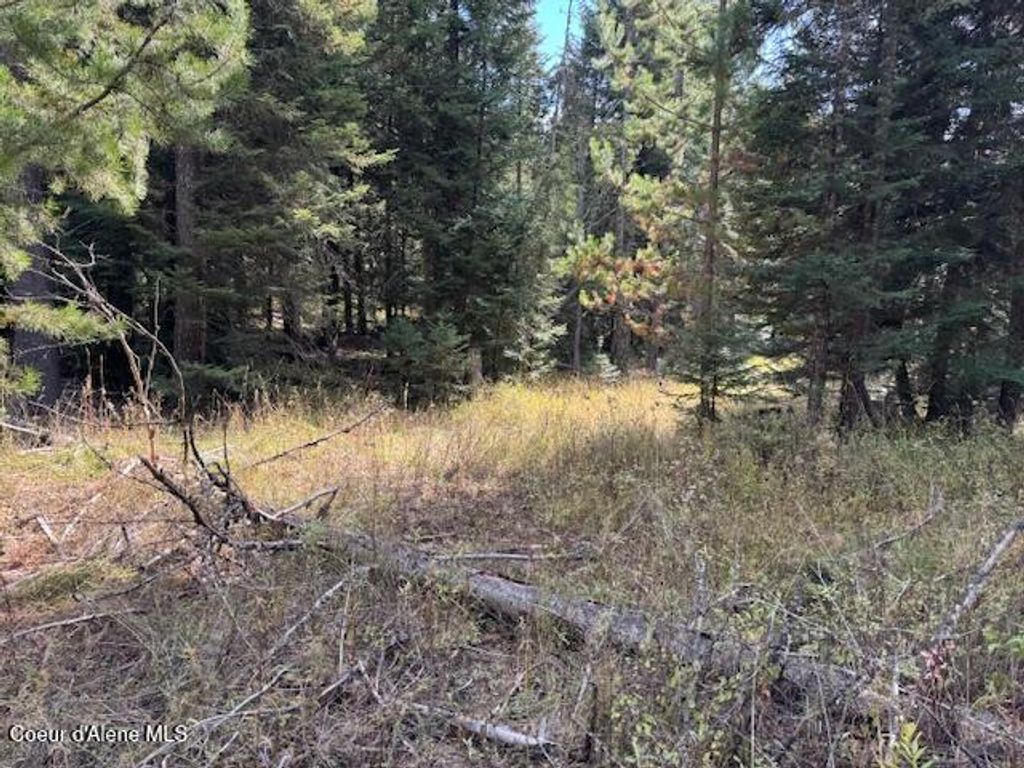 NKA Sanders Road, St. Maries, ID 83861 photo 7