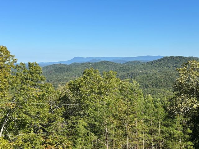 185 Stirratt Road, Ranger, GA 30734