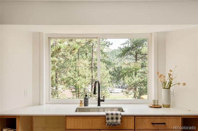 28359 Pine Drive, Evergreen, CO 80439