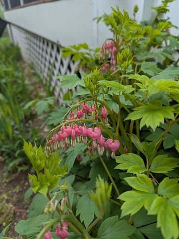 26 John Edward Dr, Northborough, MA 01532