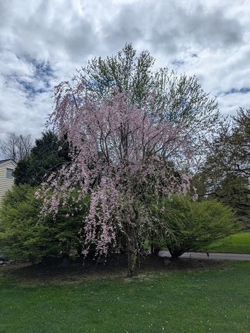 26 John Edward Dr, Northborough, MA 01532