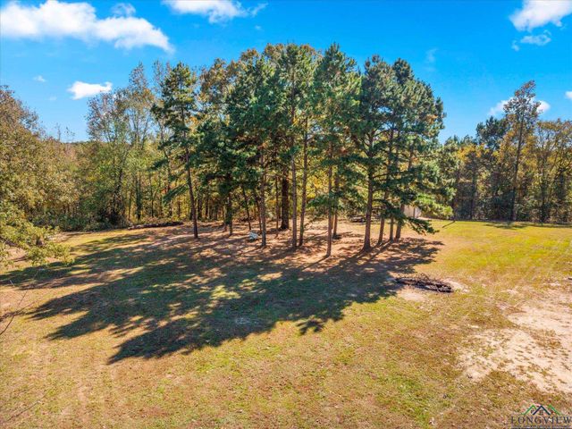 170 PR 52423, Leesburg, TX 75451