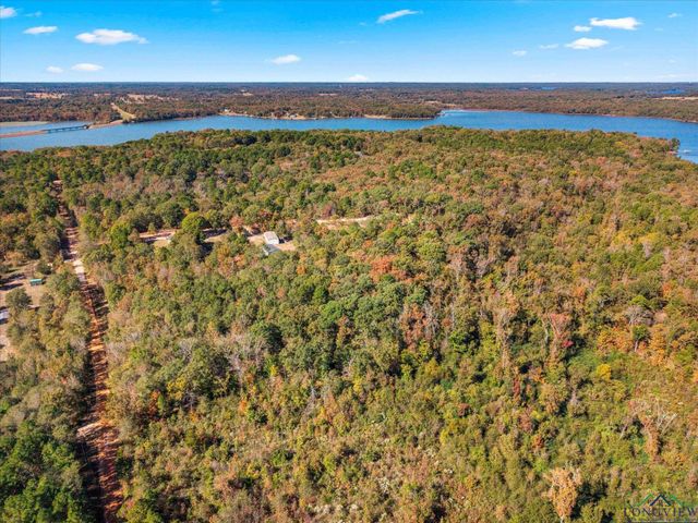 170 PR 52423, Leesburg, TX 75451