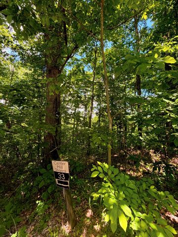 33 Swiper Dr, Smithville, TN 37166