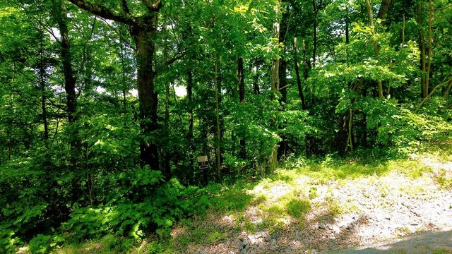 33 Swiper Dr, Smithville, TN 37166