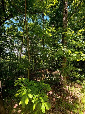 33 Swiper Dr, Smithville, TN 37166