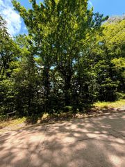 33 Swiper Dr, Smithville, TN 37166