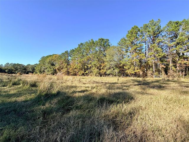 000 Lakeland Drive, Hillister, TX 77624