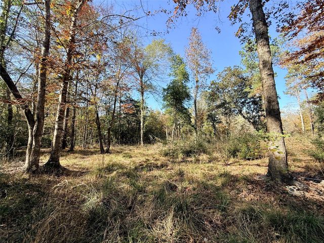 000 Lakeland Drive, Hillister, TX 77624