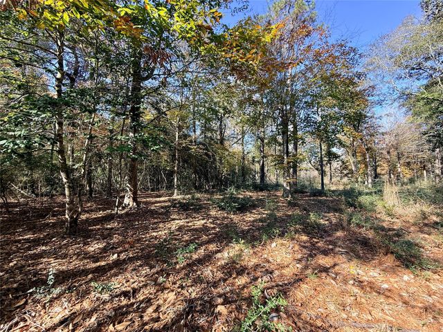 000 Lakeland Drive, Hillister, TX 77624