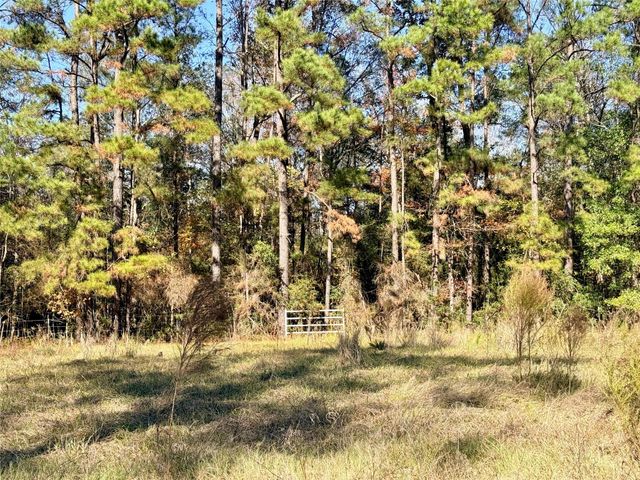 000 Lakeland Drive, Hillister, TX 77624